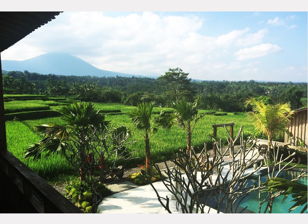 ตี อะโม บาหลี รีสอร์ต Hotel จาตีลูวีห์ ภายนอก รูปภาพ