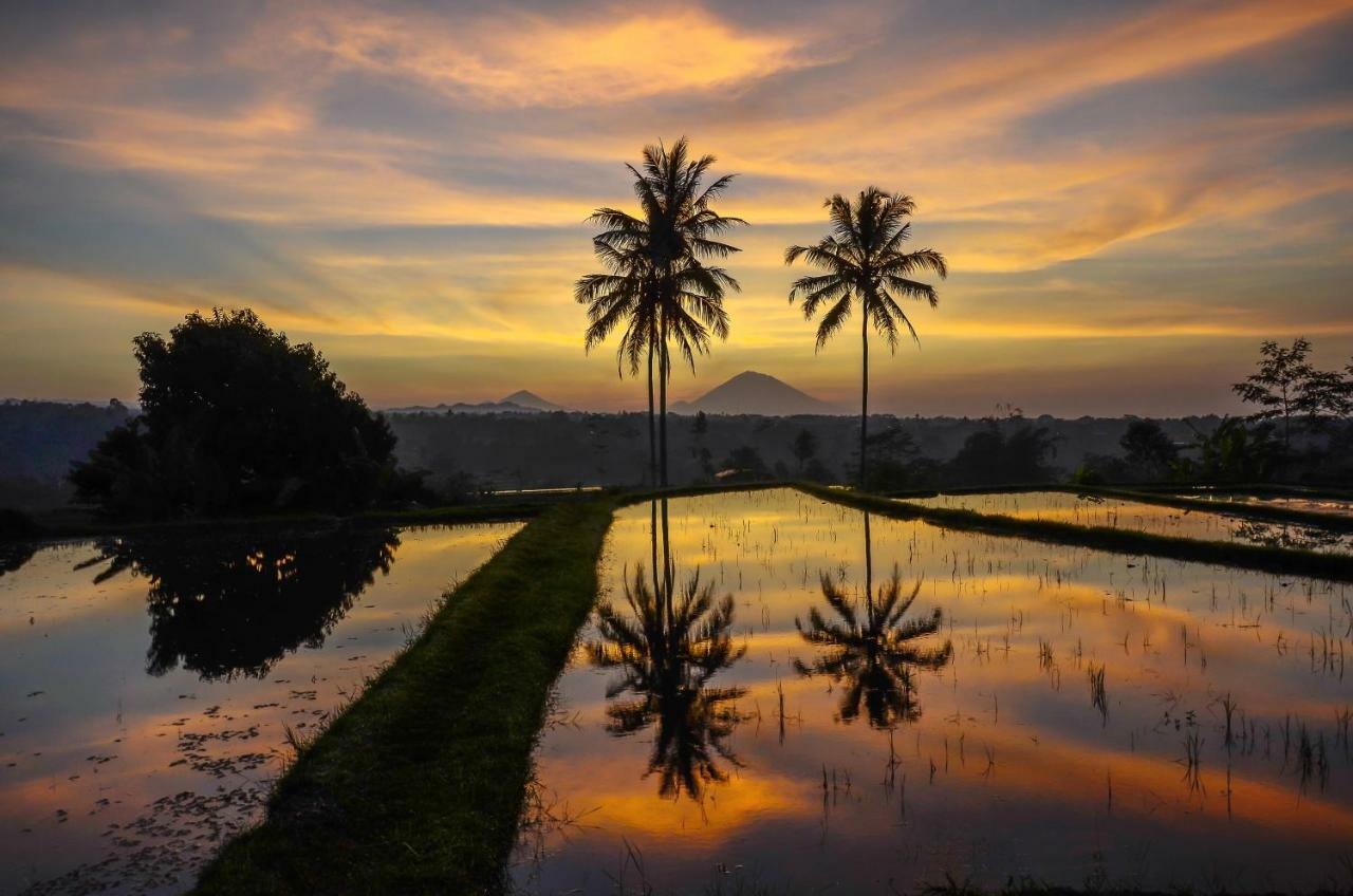 ตี อะโม บาหลี รีสอร์ต Hotel จาตีลูวีห์ ภายนอก รูปภาพ