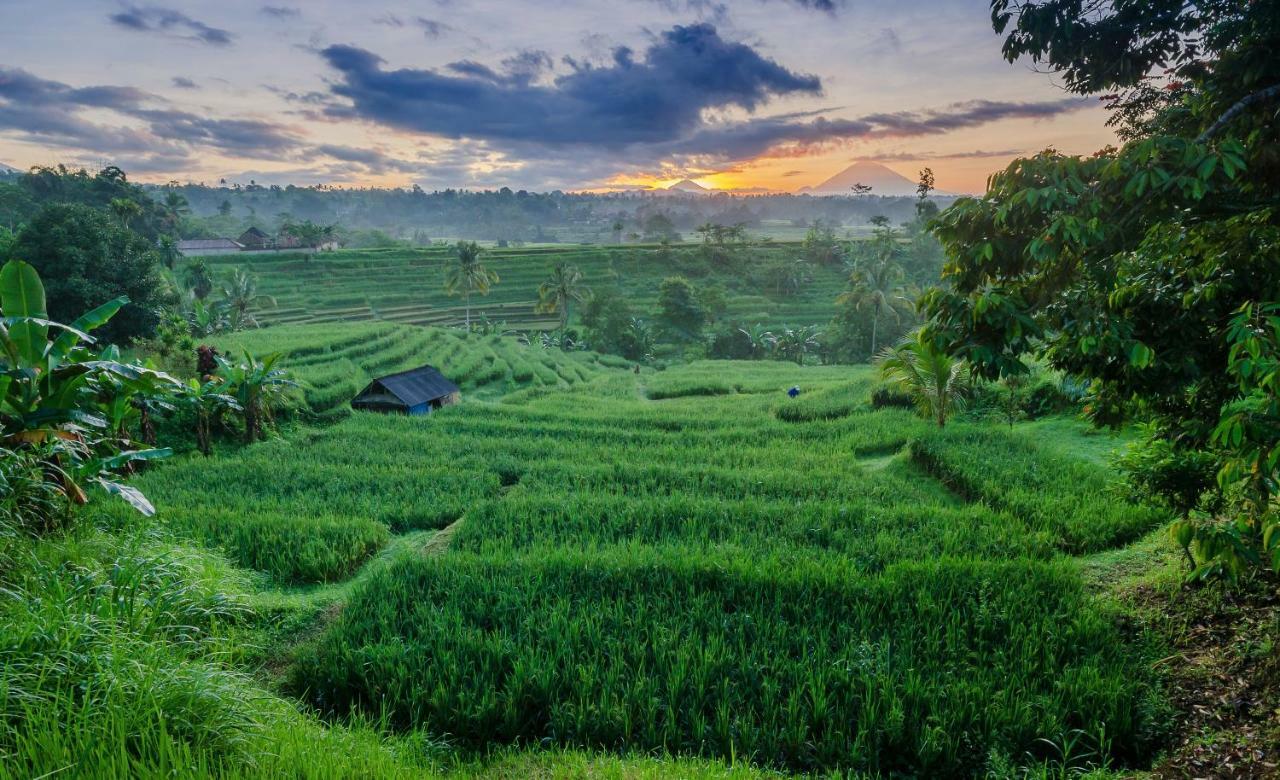 ตี อะโม บาหลี รีสอร์ต Hotel จาตีลูวีห์ ภายนอก รูปภาพ