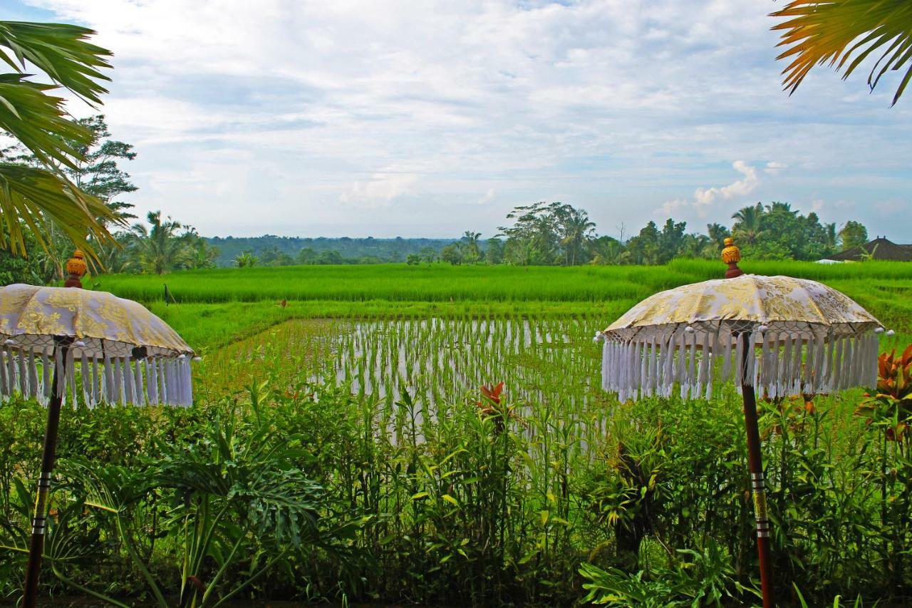 ตี อะโม บาหลี รีสอร์ต Hotel จาตีลูวีห์ ภายนอก รูปภาพ
